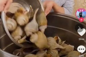 [抖音帶貨](méi)把抖音做成淘寶，帶貨效率會(huì)更高