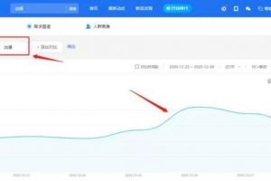 做偏門項目之賣動漫手辦，一個很細分的垂直領域項目！