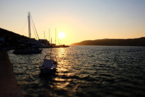 悶聲發財的項目，利潤率超700%的低門檻行業！