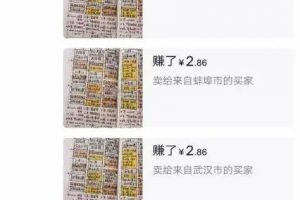 新手靠這個小眾藍海暴利項目，一個月賺1萬多塊錢