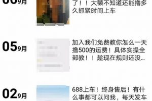 拼多多擼貨擼運費項目，只做揭秘，勿操作！