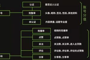 一套模板快速變現，小白也能做的抖音垂直號