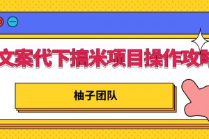 文案代下搞米項(xiàng)目操作方案，只要肯吃苦新手也能日入300+