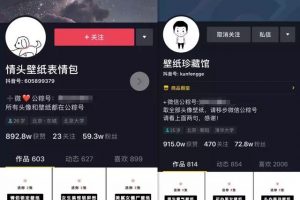 [抖音壁紙號]分享抖音壁紙號年賺20W的玩法，一個冷門也偏門的正規網賺項目