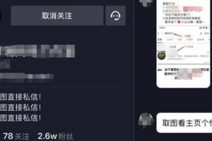 [抖音小項目]輕松日入600+，適合小白短視頻創業的抖音小項目