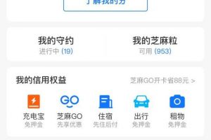 [閑魚賣貨]玩賺閑魚：閑魚平臺的背景優勢和賣貨前期的準備（一）