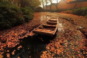 [拼多多套路]揭秘一個拼多多套路，“退貨”居然也可以賺錢