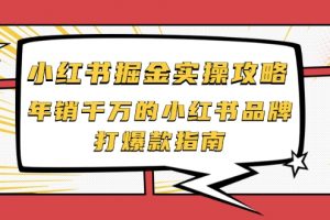 小紅書掘金實操攻略，年銷千萬的小紅書品牌打爆款指南
