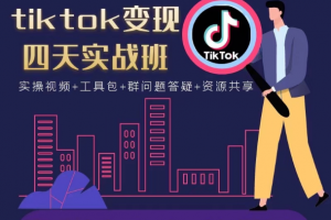 tiktok變現(xiàn)四天實戰(zhàn)班，連懟技術+矩陣玩法賺美金！價值998元