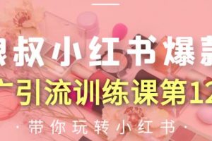 狼叔小紅書爆款推廣引流訓練課第12期，手把手帶你玩轉小紅書