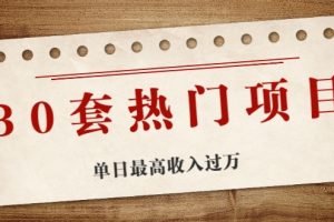 30套熱門項目：單日最高收入過萬 (網賺項目、朋友圈、漲粉套路、抖音、快手)等