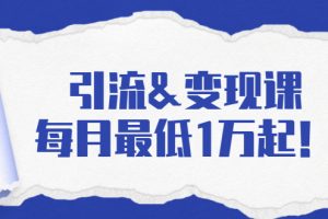 引流&變現課：分享一整套流量方法以及各個渠道收入，每月最低1萬起！