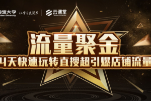 淘寶大學：流量聚金14天快速玩轉直搜，超引爆店鋪流量，價值8800元