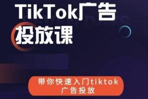 跨境B哥tiktok廣告投放課，帶你快速入門tiktok廣告投放價值1680元