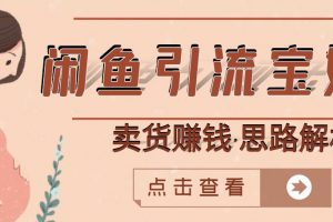 閑魚引流寶媽粉+賣貨賺錢一個月收益30000+（實操視頻教程）