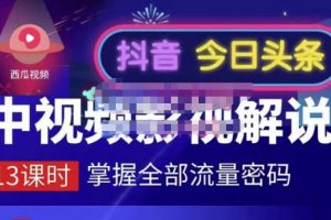 嚴如意·中視頻影視解說—掌握流量密碼，自媒體運營創收，批量運營賬號