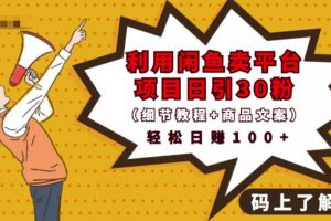 利用閑魚賣平臺項目課程資源日引流30+精準粉絲，輕松日賺100+，積累人脈可實現二次變