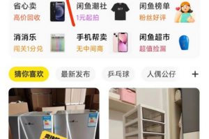 閑魚掛機單號3元/天，每天僅需2分鐘，可無限放大，穩定長久掛機項目！