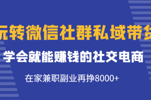 玩轉微信社群私域帶貨，學會就能賺錢的社交電商，在家兼職副業(yè)再掙8000+