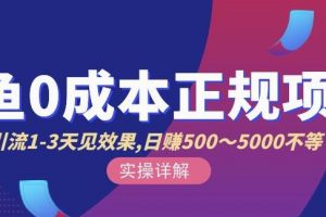 宇晨閑魚無貨源，十幾節課程豐富講訴閑魚賣貨技巧，價值6980