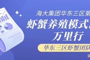 —個(gè)10畝魚塘養(yǎng)魚利潤10畝池塘養(yǎng)魚利潤