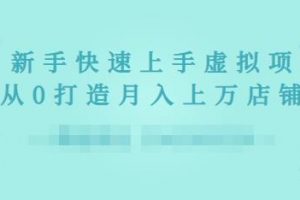 2022年虛擬項目實戰指南，新手從0打造月入上萬店鋪【視頻課程】