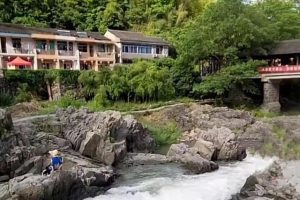 賺錢的項目賺錢的項目都在刑法里嘛