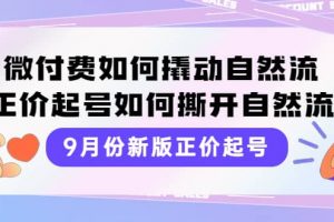9月份新版正價(jià)起號(hào)，微付費(fèi)如何撬動(dòng)自然流，正價(jià)起號(hào)如何撕開自然流