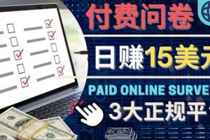 參與付費調查，利用自己的空閑時間完成問卷，適合新手的平臺，日賺15美元