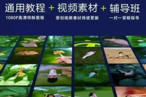 波妞波力的視頻通用教程 視頻素材 輔導班