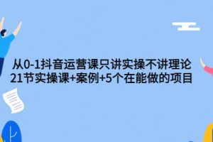 從0-1抖音運營課只講實操不講理論：21節實操課 案例 5個在能做的項目