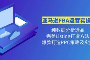 亞馬遜FBA運營實操課 純數(shù)據(jù)分析選品 完美Listing打造 爆款打造PPC策略實操