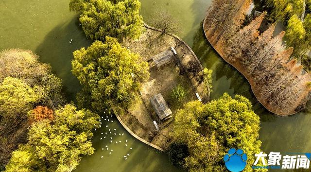 洛陽旅游洛陽旅游攻略自由行攻略插圖1