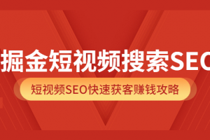掘金短視頻搜索SEO，短視頻SEO快速獲客賺錢攻略（價值980）