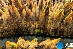 洛陽旅游洛陽旅游攻略自由行攻略