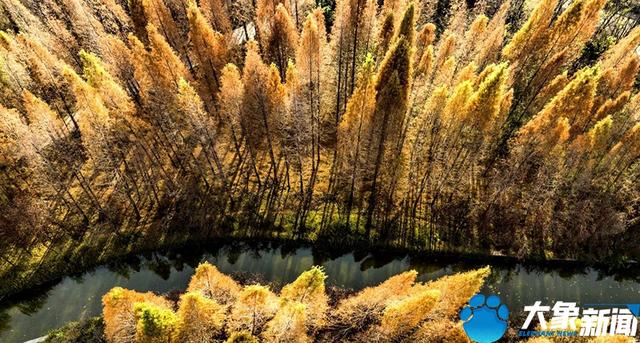 洛陽旅游洛陽旅游攻略自由行攻略插圖