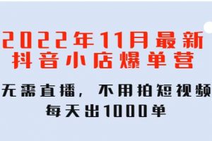 2022年11月最新抖音小店爆單訓練營：無需直播，不用拍短視頻，每天出1000單