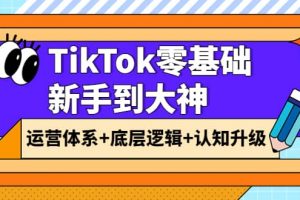 TikTok零基礎新手到大神：運營體系 底層邏輯 認知升級（9節系列課）