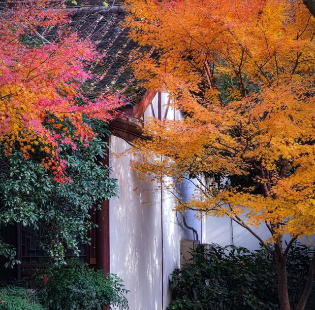 杭州寺廟杭州寺廟有哪些香火比較旺的插圖2