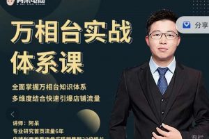 阿呆-萬相臺實戰體系課，幫您全面掌握萬相臺知識體系