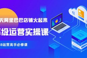 【90天阿里巴巴店鋪火起來】高級運(yùn)營實(shí)操課，1688運(yùn)營高手必修課
