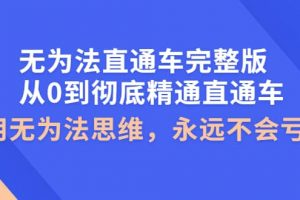 無(wú)為法直通車完整版：從0到徹底精通直通車，用無(wú)為法思維，永遠(yuǎn)不會(huì)虧損