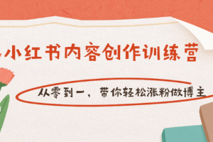 【小紅書內(nèi)容創(chuàng)作訓(xùn)練營】從零到一，帶你輕松漲粉做博主（價(jià)值399）