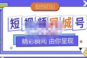 大東·短視頻同城號教程，包括搭建思路，版面制作，文案內(nèi)容，剪輯操作等