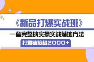 《新品打爆實戰班》一套完整的實操實戰落地方法，打爆鏈接超2000 （38節課)