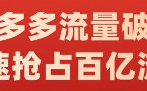 阿杰·拼多多流量破局:如何打黑標，爆款的思路，拼多多流量框架，快速搶占百億流量