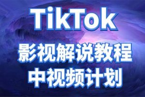 外面收費2980元的TikTok影視解說、中視頻教程