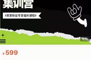 夜草與千里馬素人短視頻帶貨集訓營，薛輝團隊價值599