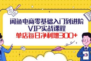 閑魚電商零基礎入門到進階VIP實戰課程