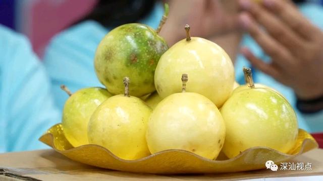 零基礎(chǔ)主播培訓(xùn)零基礎(chǔ)主播培訓(xùn)資料怎么寫插圖2 零基礎(chǔ)主播培訓(xùn)零基礎(chǔ)主播培訓(xùn)資料怎么寫插圖2